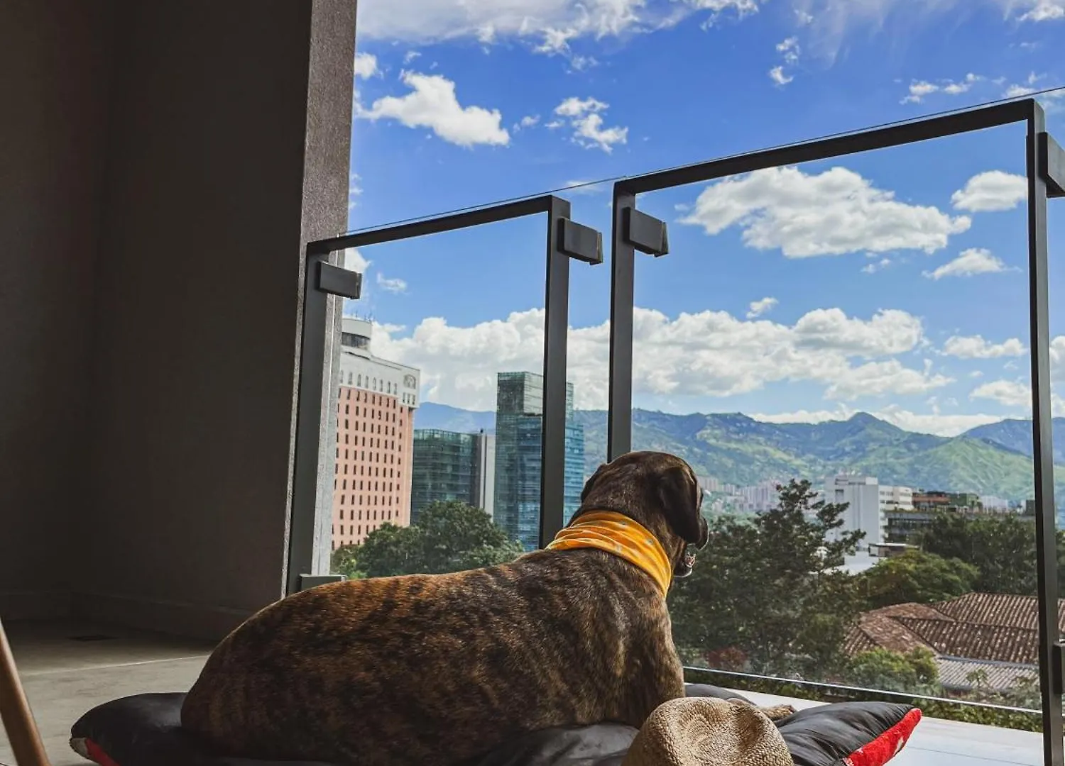 Topa House Medellin Apartment